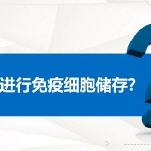 保險經(jīng)紀新標(biāo)桿 陳春雷如何以專業(yè)與信任贏得市場
